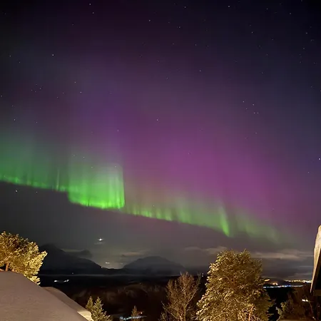 - Målselv Fjellandsby Feriehus *