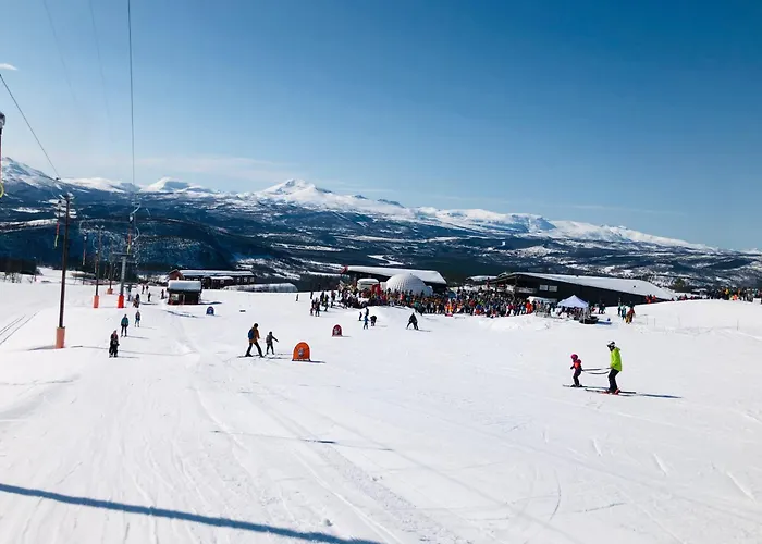 Feriehus - Målselv Fjellandsby Bergset