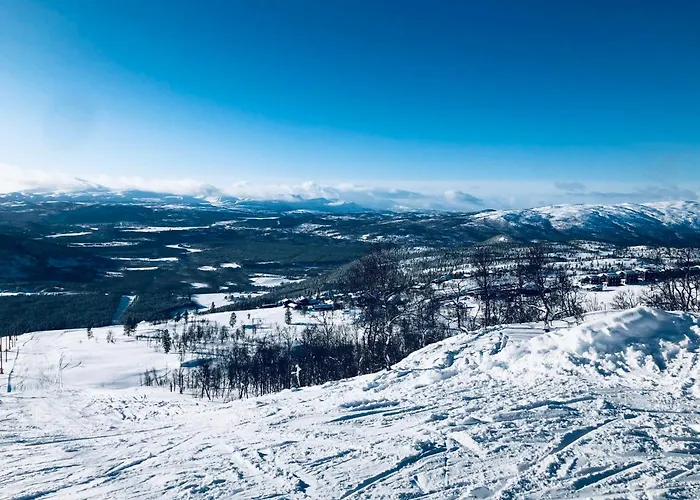 - Målselv Fjellandsby Feriehus Bergset